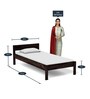 Enkel Sheesham Wood Single Bed In Warm Chestnut Finish