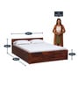 Enkel Sheesham Wood Queen Size Bed in Scratch Resistant Honey Oak  With Box Storage