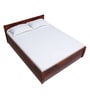 Enkel Sheesham Wood Queen Size Bed in Scratch Resistant Honey Oak  With Box Storage