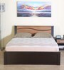 Enri King Size Bed with Storage in Wenge & Teak Finish