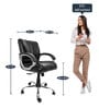 Enrico Mid Back Office chair in Black Colour