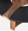 Enzo Mango Wood Coffee Table In Dual Tone Finish