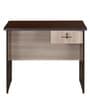 Enzo Office Table in Walnurt Finish