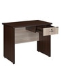 Enzo Office Table in Walnurt Finish