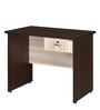 Enzo Office Table in Walnurt Finish