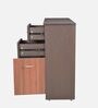 Epoch Shoe Cabinet in Brown Colour