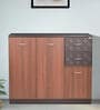 Epoch Shoe Cabinet in Brown Colour