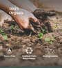 Epsom Salt for Plants Growth Organic Fertilizer
