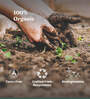 Epsom Salt for Plants Growth Organic Fertilizer