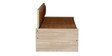 Equa Pull-Out Sofa Cum Bed in Teak Finish
