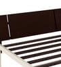 EQ Single Size Bed in Brown & White Colour
