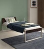 EQ Single Size Bed in Brown & White Colour