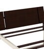EQ Single Size Bed in Brown & White Colour EQ Single Size Bed in Brown & White Colour