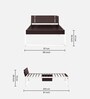 EQ Steel Single Bed in Brown & White Colour With Drawer Storage