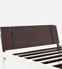 EQ Steel Single Bed in Brown & White Colour With Drawer Storage