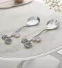 Blooming Breeze Salad Set(Silver)