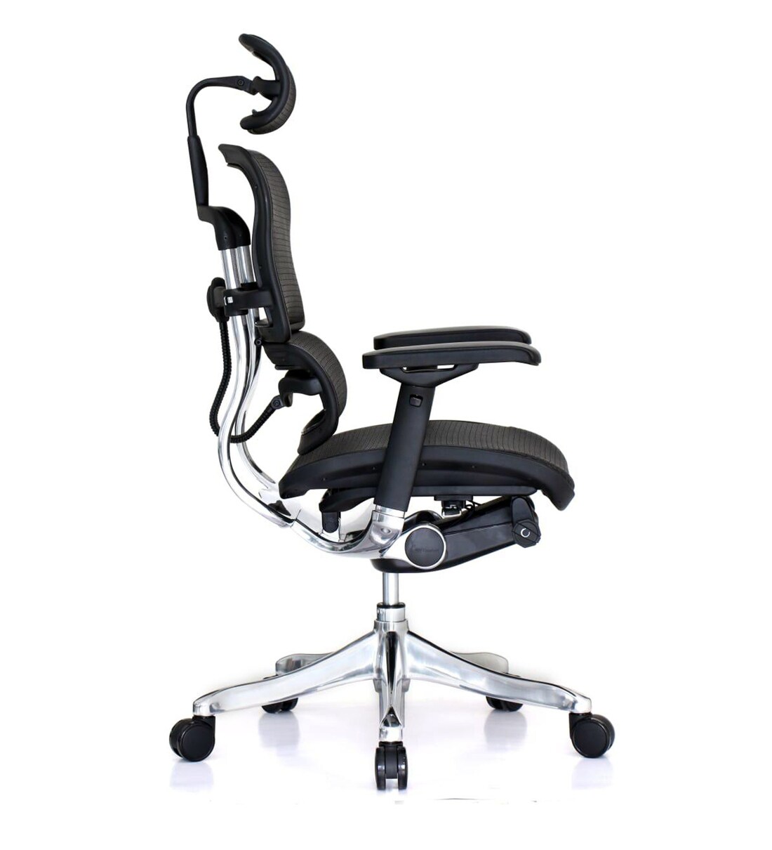 Buy Ergo Human Elite Ergonomic Chair in Black Colour By Finch Fox