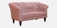 Ercilia Fabric 2 Seater Sofa In Blush Colour