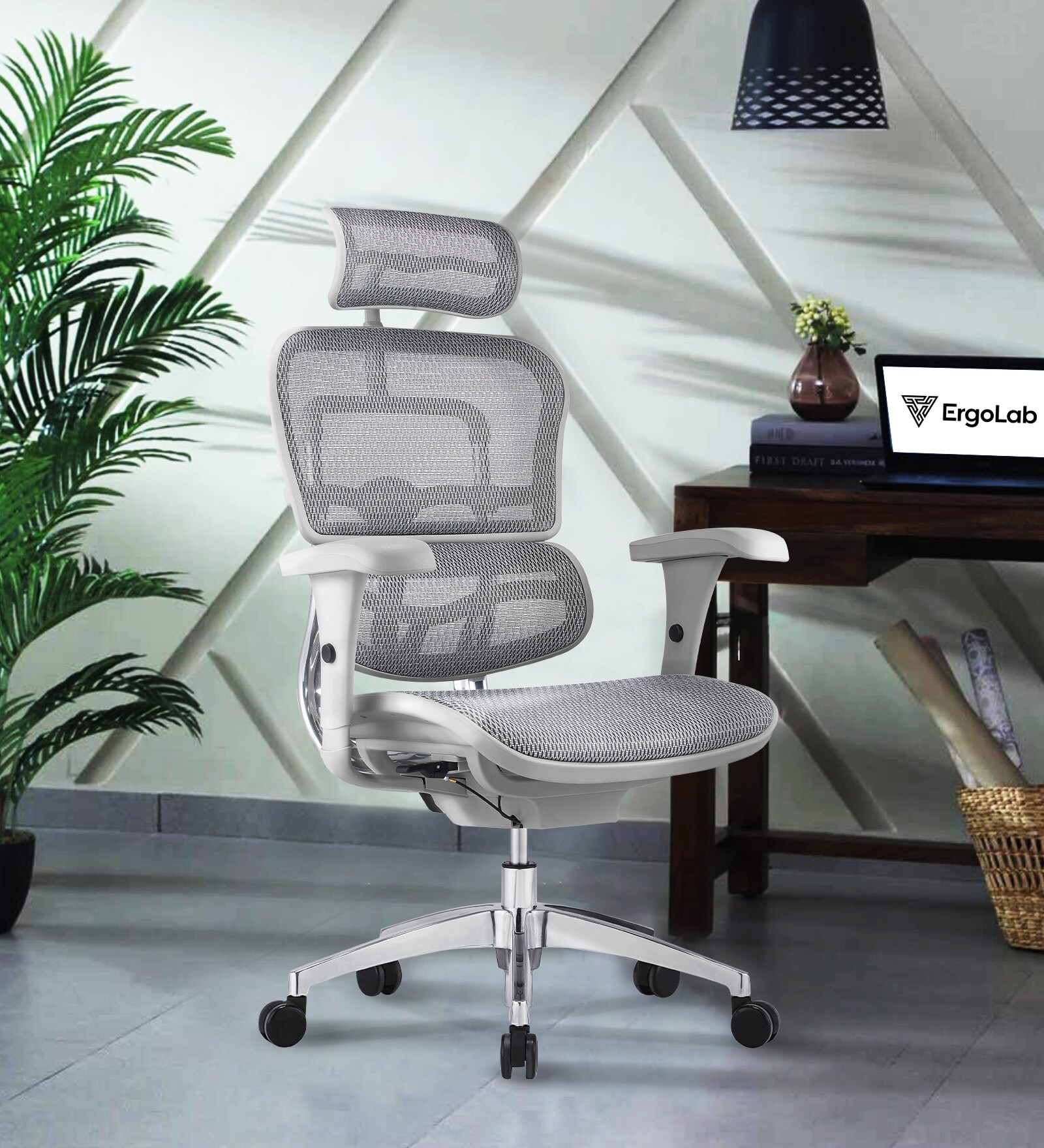 Buy Ergofit Breathable Mesh Ergonomic Chair in Grey Colour with ...