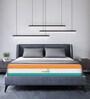 Ergo 8 inch HR Foam Queen Size Mattress