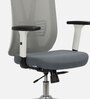Ergo Spine Breathable Mesh Ergonomic Chair in White And Gray Colour