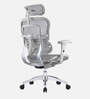 Ergofit Breathable Mesh Ergonomic Chair in Grey Colour with Headrest