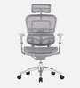 Ergofit Breathable Mesh Ergonomic Chair in Grey Colour with Headrest