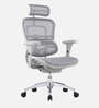 Ergofit Breathable Mesh Ergonomic Chair in Grey Colour with Headrest