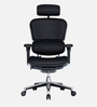 Ergohuman Leather Executive Chair in Black Colour
