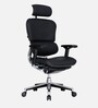 Ergohuman Leather Executive Chair in Black Colour