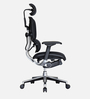 Ergohuman Leather Executive Chair in Black Colour