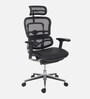 Ergohuman Breathable Mesh Ergonomic Chair in Black Colour with Headrest
