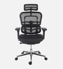 Ergohuman Breathable Mesh Ergonomic Chair in Black Colour with Headrest
