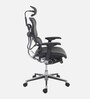 Ergohuman Breathable Mesh Ergonomic Chair in Black Colour with Headrest