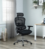 Ergohuman Breathable Mesh Ergonomic Chair in Black Colour with Headrest