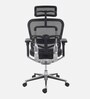 Ergohuman Breathable Mesh Ergonomic Chair in Black Colour with Headrest
