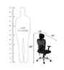 Ergonomic Office Chair With  Adjustable Armrests In Black Colour