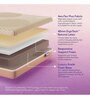 ErgoTech EcoLatex Plus 6 Inches Latex Queen Size Mattress With Low Motion Transfer