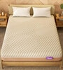 ErgoTech EcoLatex Plus 6 Inches Latex Queen Size Mattress With Low Motion Transfer