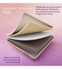 ErgoTech EcoLatex Plus 6 Inches Latex Queen Size Mattress With Low Motion Transfer