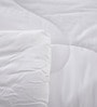 100% Cotton 250 GSM Microfiber Filled Heavy Winter Single Bed Duvet
