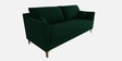 Esteban Velvet 3 Seater Sofa in Forest Green Colour