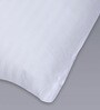 Esper Microfiber 24 x 16 Inch Pillow