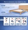 Essential Dual Orthopedic 4 Inches HR Foam Queen Size Mattress Essential Dual Orthopedic 4 Inches HR Foam Queen Size Mattress