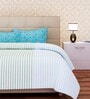 Blue Striped 144 TC Cotton Queen Sized Bed Sheets with 2 Pillow Covers
