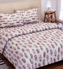 Brown Floral 144 TC Cotton Queen Sized Bed Sheets with 2 Pillow Covers