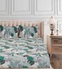 Green Floral 144 TC Cotton Queen Sized Bed Sheets with 2 Pillow Covers