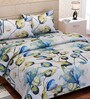 Green Floral 144 TC Cotton Queen Sized Bed Sheets with 2 Pillow Covers