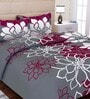 Grey Floral 144 TC Cotton Queen Sized Bed Sheets with 2 Pillow Covers