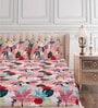 Pink Floral 144 TC Cotton Queen Sized Bed Sheets with 2 Pillow Covers